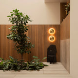Fase wall Lamp