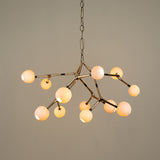 Maratus Lamp